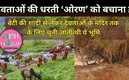 देवताओं की भूमि ओरण को बचाने धरने पर बैठे विधायक रविंद्र सिंह भाटी, जानिए क्यों कीमती है यह ओरण