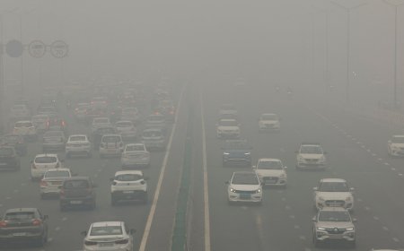 जानलेवा हुई दिल्ली की हवा, कार्यालयों का बदला समय, स्कूल बंद, आदेश जारी