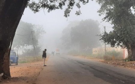 राजस्थानः तापमान में गिरावट के साथ ठंड ने पकड़ा जोर