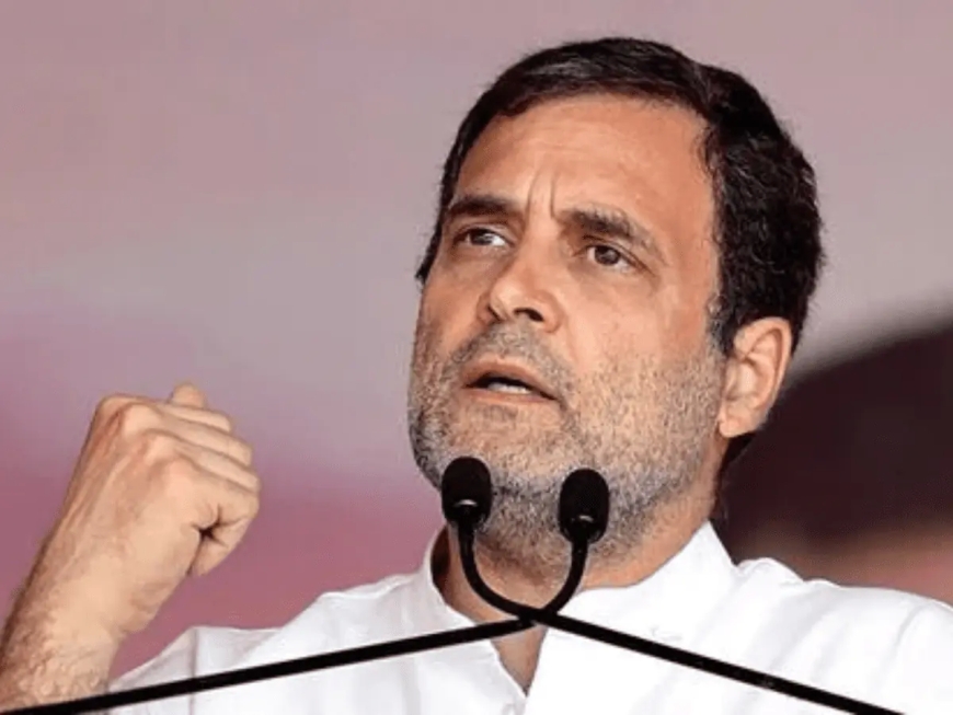 Rahul Gandhi ने बताया बीजेपी क्यों करना चाहती है संविधान को खत्म