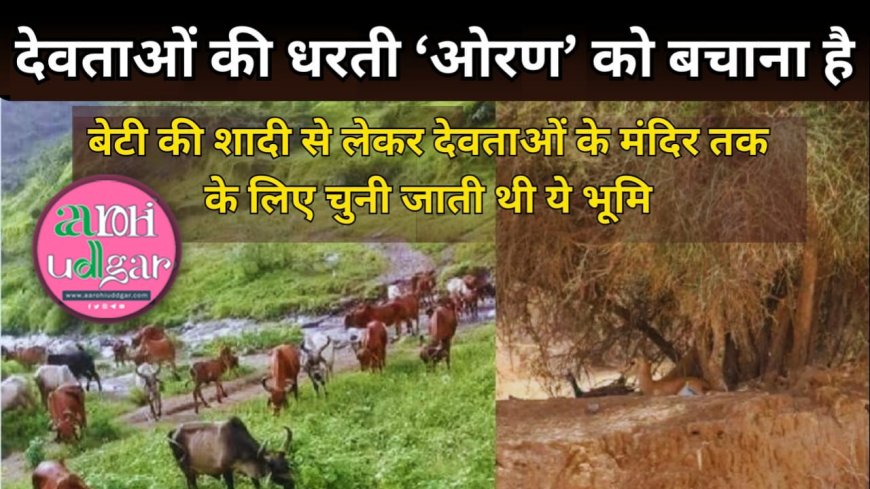 देवताओं की भूमि ओरण को बचाने धरने पर बैठे विधायक रविंद्र सिंह भाटी, जानिए क्यों कीमती है यह ओरण