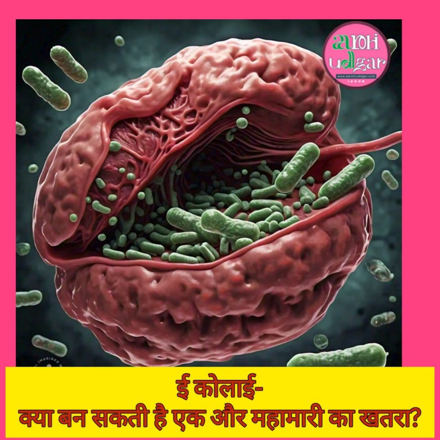 ई -कोलाई - क्या बन सकती है भारत में एक और महामारी का खतरा?